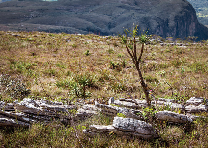 Creating sustainable value for our communities