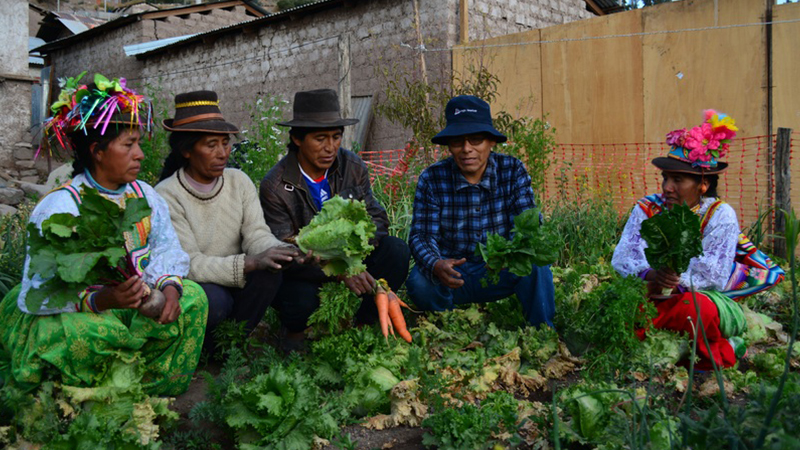 Quellaveco. Bringing our Purpose to life in Peru