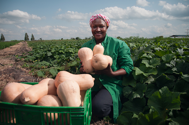 Sustainably transforming the world’s agri-food systems with Sanergy