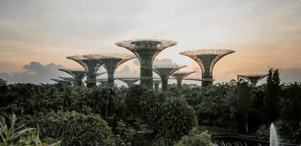 About Anglo American in Singapore