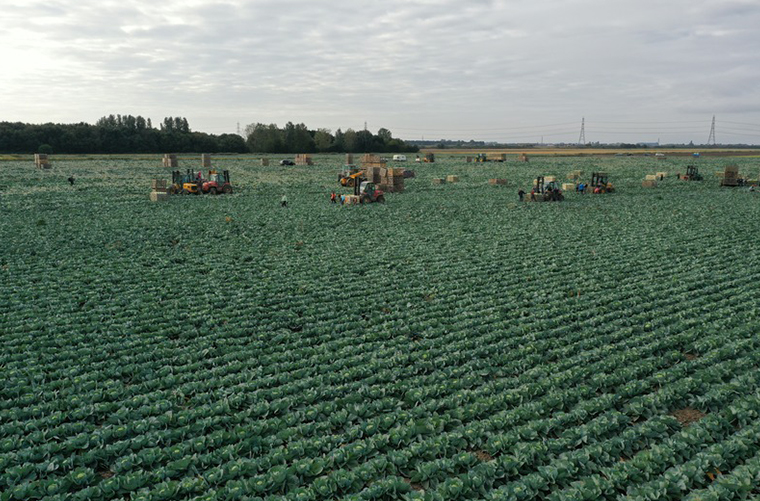 Transforming the global food system from a village in North Yorkshire